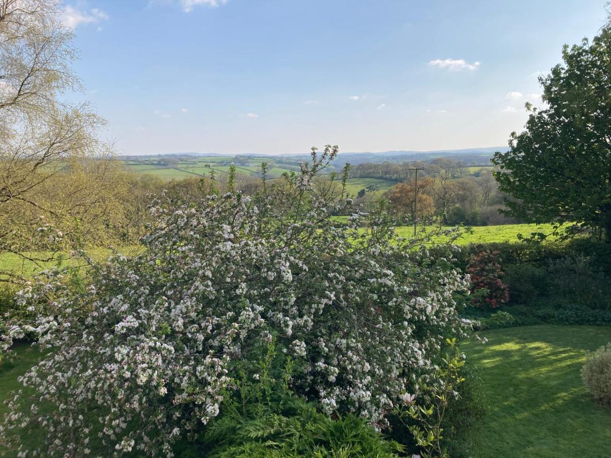 East Hillerton House Guest House Crediton Exterior foto
